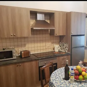 Palmeras Icod De Los Vinos